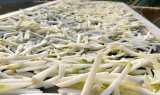 萝卜条保存方法（萝卜条怎么保存）