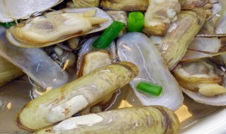清洗蛏子最正确的方法 清洗蛏子最正确的方法视频