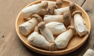 杏鲍菇要焯水吗 青椒炒杏鲍菇要焯水吗