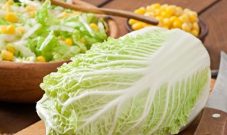 大白菜热量 减肥蔬菜排行榜前十名