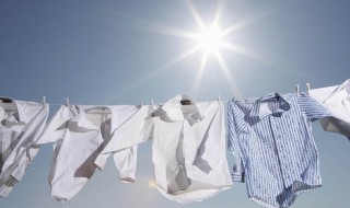 衣服为什么会缩水 衣服缩水了怎么恢复
