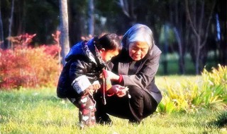 奶奶和孙女的关系叫什么（直系亲属一览表）