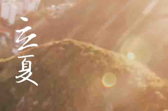 2023年立夏入伏了吗 2023年立夏是暑伏吗