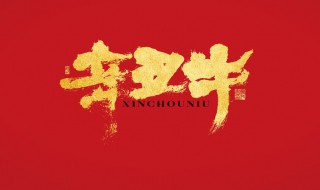 辛丑年是啥意思 辛丑年是啥意思啊