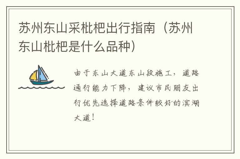 苏州东山采枇杷出行指南（苏州东山枇杷是什么品种）