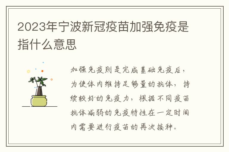 2023年宁波新冠疫苗加强免疫是指什么意思