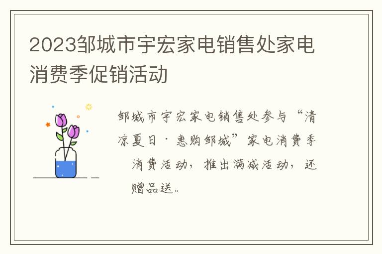 2023邹城市宇宏家电销售处家电消费季促销活动