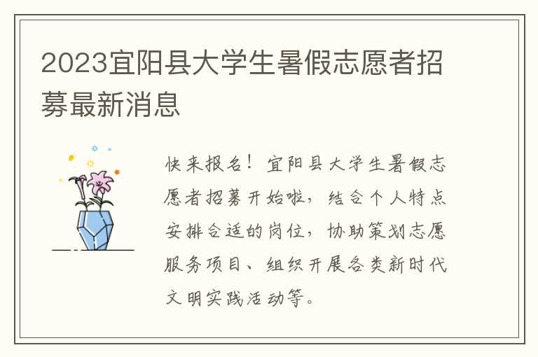 2023宜阳县大学生暑假志愿者招募最新消息