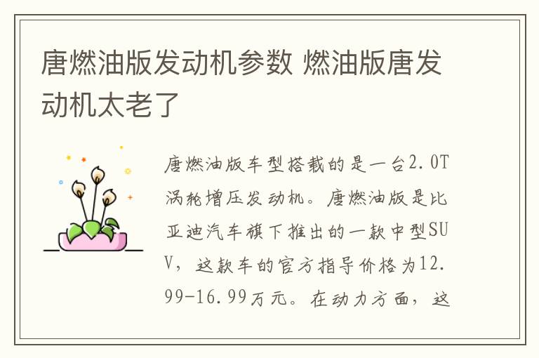 唐燃油版发动机参数 燃油版唐发动机太老了