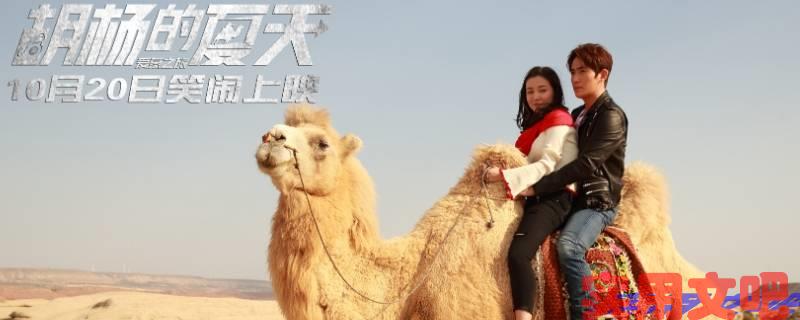 朱一龙主演过哪些电影