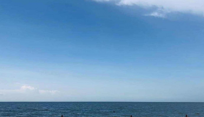 蓝眼泪是什么东西 中国哪些地方有蓝眼泪
