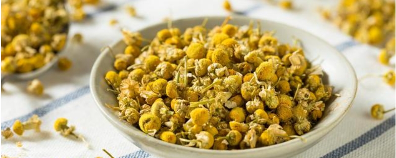 菊花明目吗