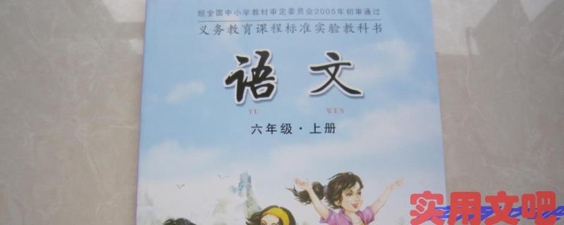 初中教资哪几门最好过