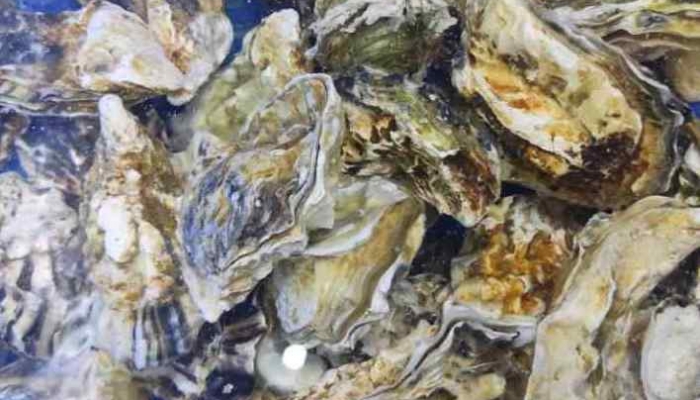 日料店无日本食材涉虚假宣传吗 日料店的食材是进口的吗