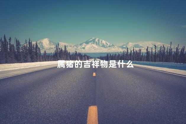 属猪的吉祥物是什么