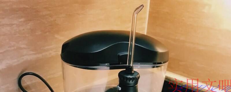 冲牙器买什么牌子比较好