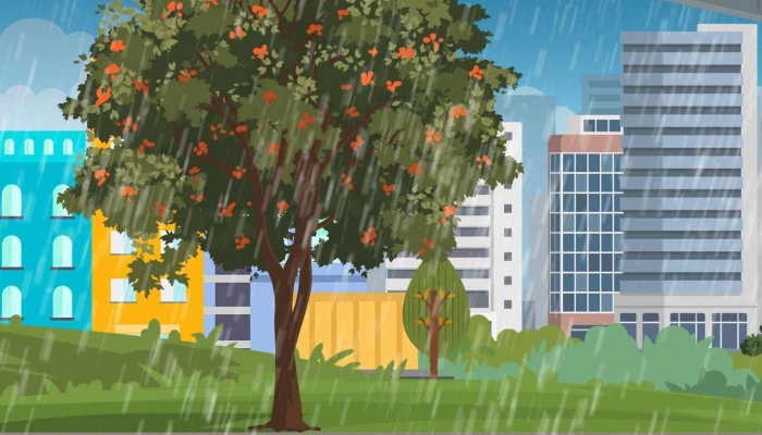 未来三天黑龙江西部等地有强降雨 下周冷空气携降温来袭