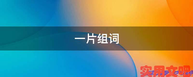 一片组词