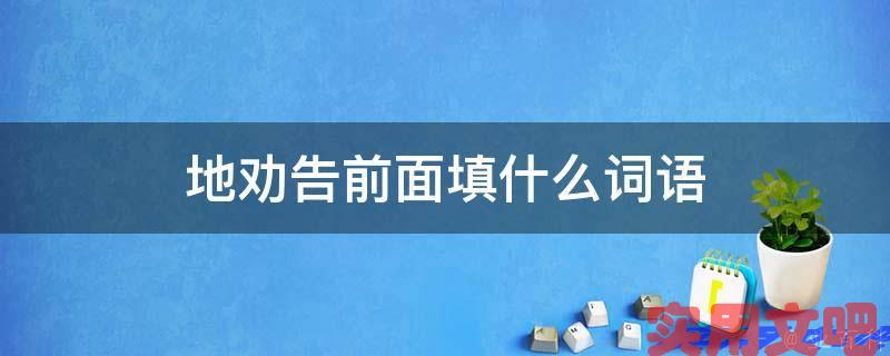 地劝告前面填什么词语