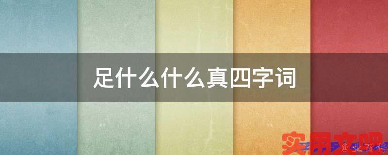 足什么什么真四字词