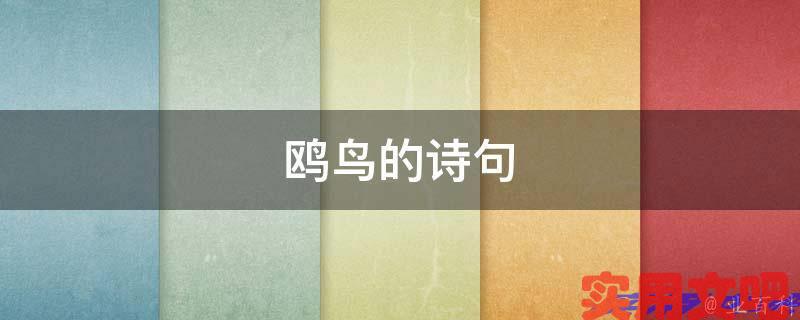 鸥鸟的诗句