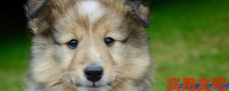 兵强将猛打一正确生肖