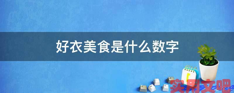 好衣美食是什么数字