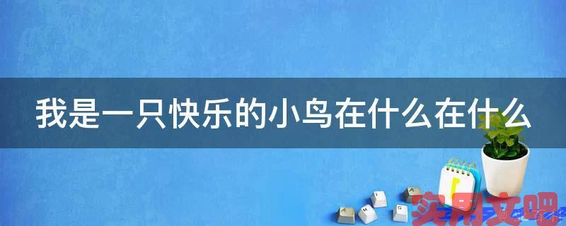 我是一只快乐的小鸟在什么在什么