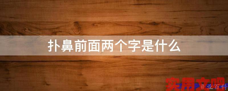 扑鼻前面两个字是什么