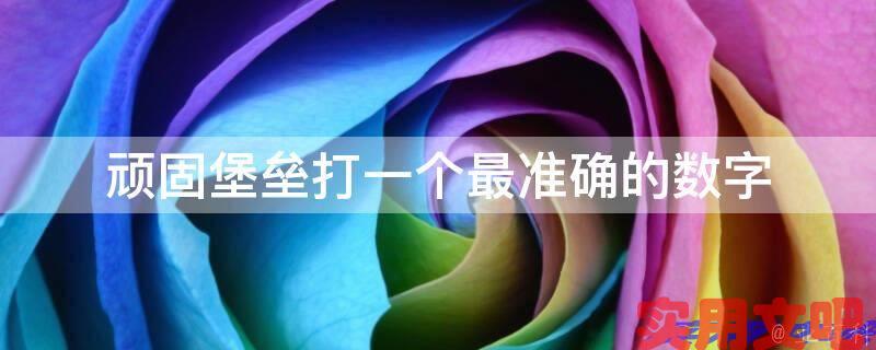 顽固堡垒打一个最准确的数字
