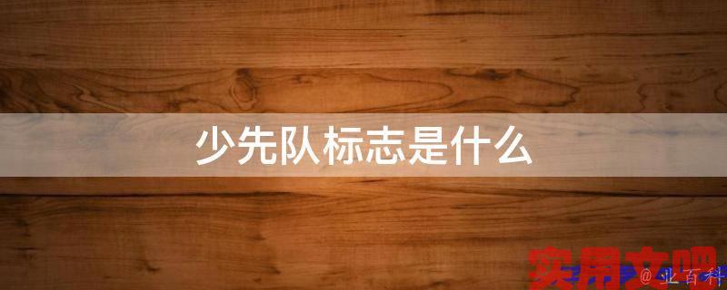 少先队标志是什么