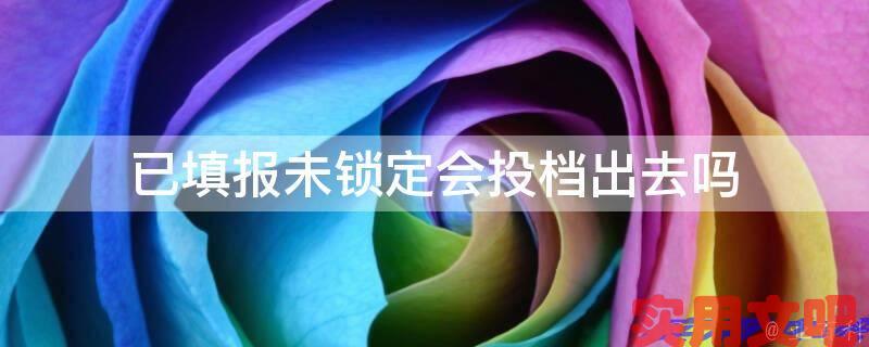 已填报未锁定会投档出去吗