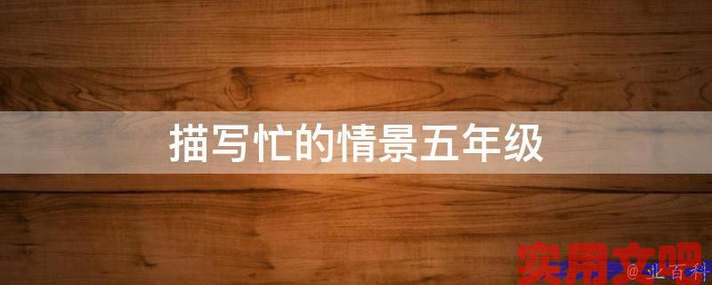 描写忙的情景五年级