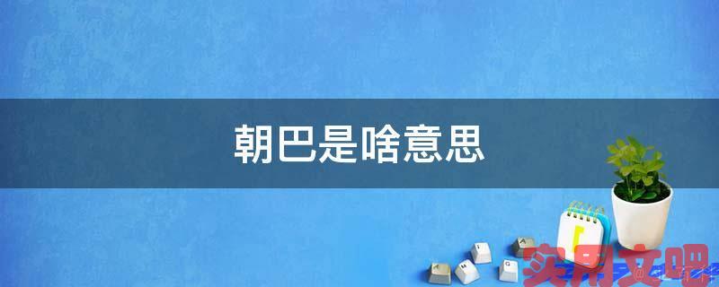 朝巴是啥意思