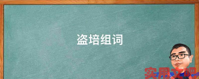 盗培组词