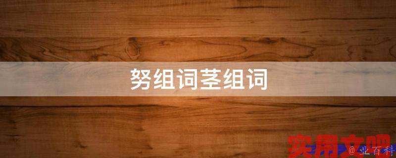努组词茎组词