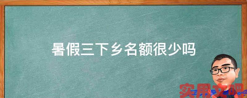 暑假三下乡名额很少吗