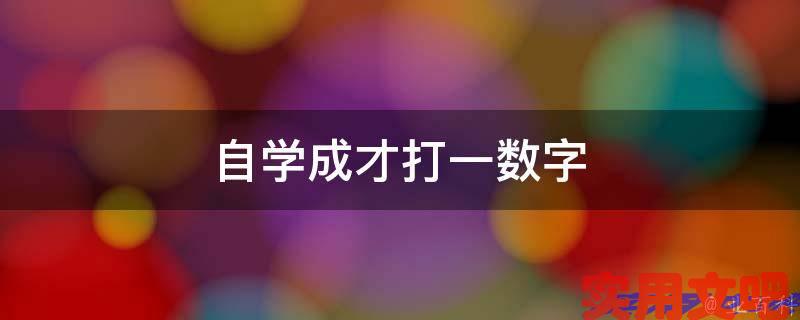 自学成才打一数字