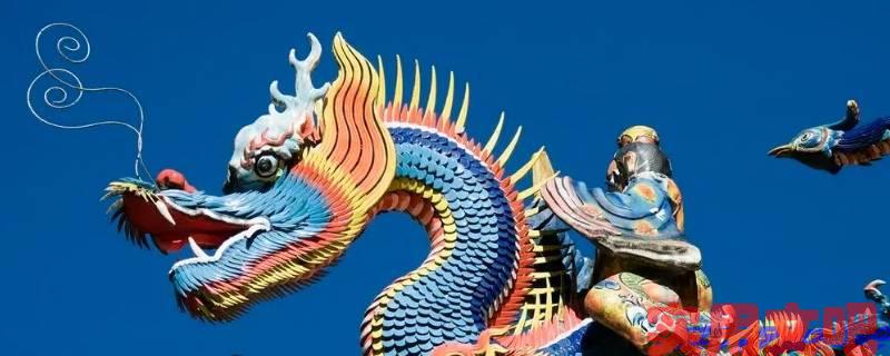 六一七九一肖来打一生肖