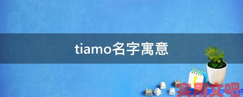 tiamo名字寓意