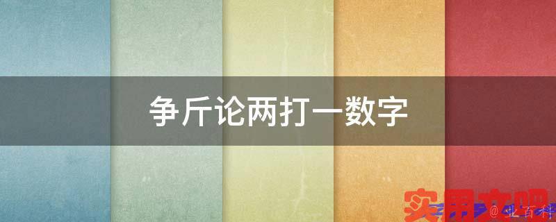 争斤论两打一数字
