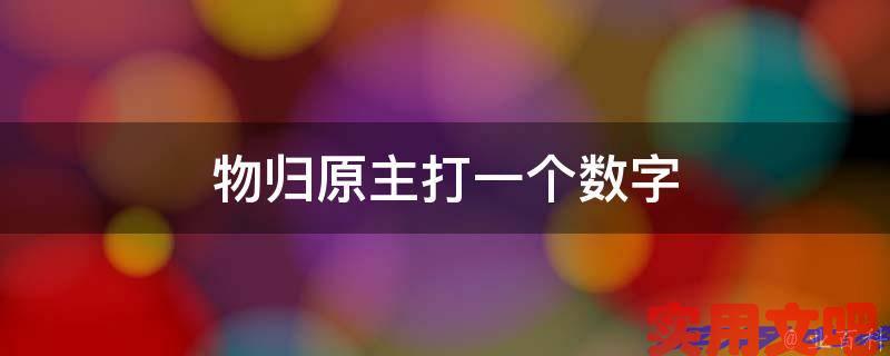 物归原主打一个数字