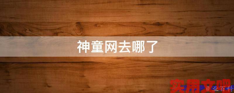神童网去哪了