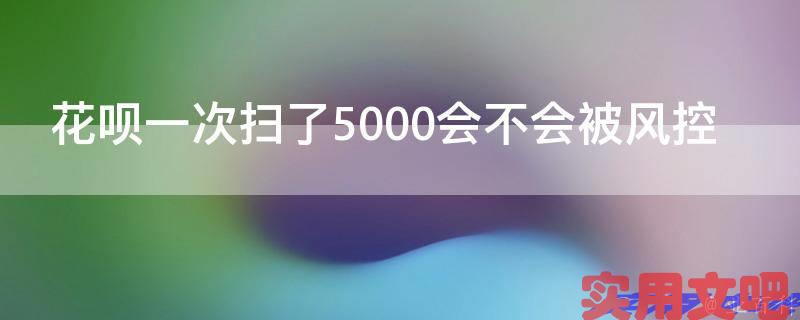花呗一次扫了5000会不会被风控