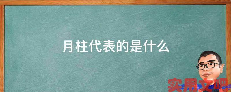 月柱代表的是什么