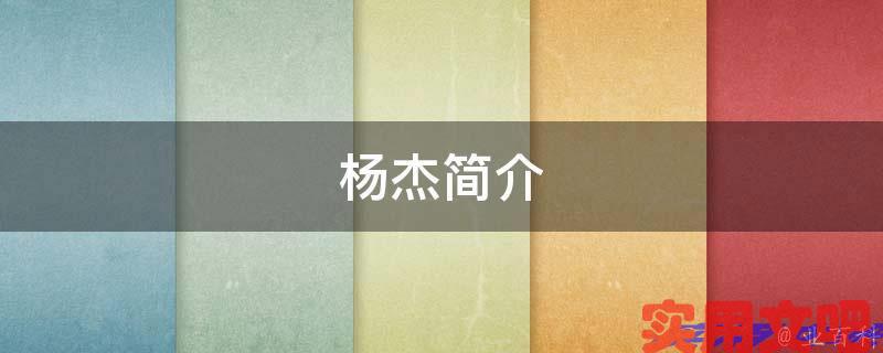 杨杰简介