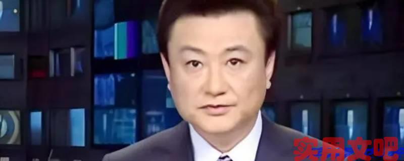王宁简介