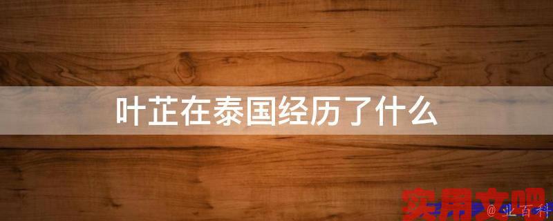 叶芷在泰国经历了什么