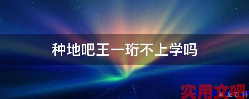 种地吧王一珩不上学吗