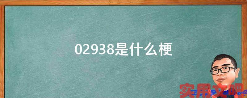 02938是什么梗